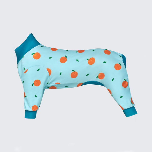 Pyjama pour chien - Oranges