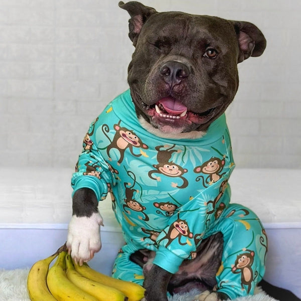 Pigiama per cani - Monkey Business