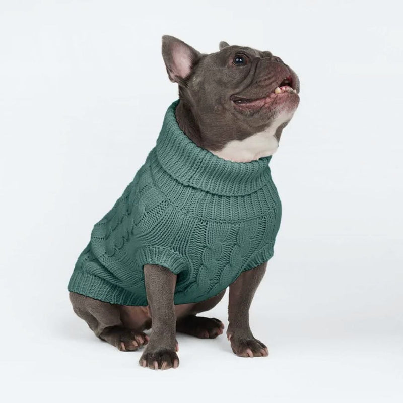 Maglione a trecce per can - Verde pino