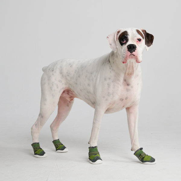 Chaussures pour chien sur pavé chaud - Vert