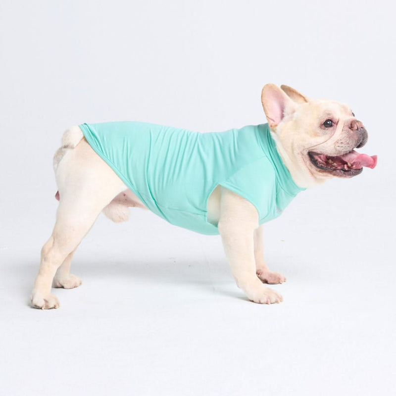 日焼け止め犬用Tシャツ - アクアブルー