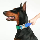Tactical Dog Collar - Lime Wave