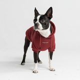 Maglione Essenziale per Cani - Bordeaux