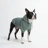 Maglione Essenziale per Cani - Turchese