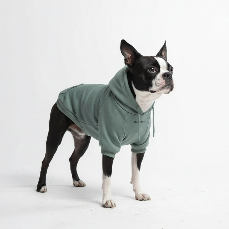 Maglione Essenziale per Cani - Turchese