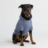 Maglione Essenziale per Cani - Blu Ardesia
