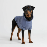 Maglione Essenziale per Cani - Blu Ardesia