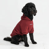 Essential Dog Hoodie - Burgundy