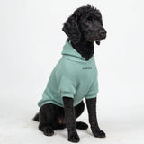 Essential Teal Hoodie