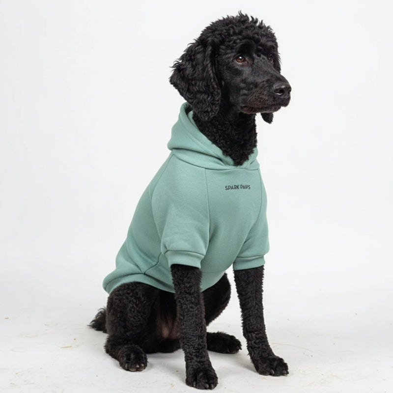 Essential Teal Hoodie