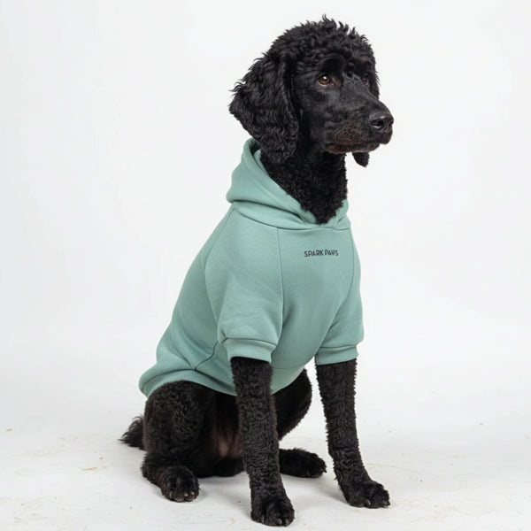 Essential Dog Hoodie - Teal