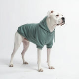 Essential Teal Hoodie