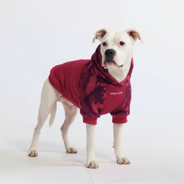 Fuchsia Camo Dog Hoodie