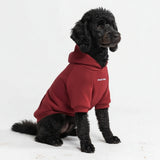 Essential Burgandy Hoodie