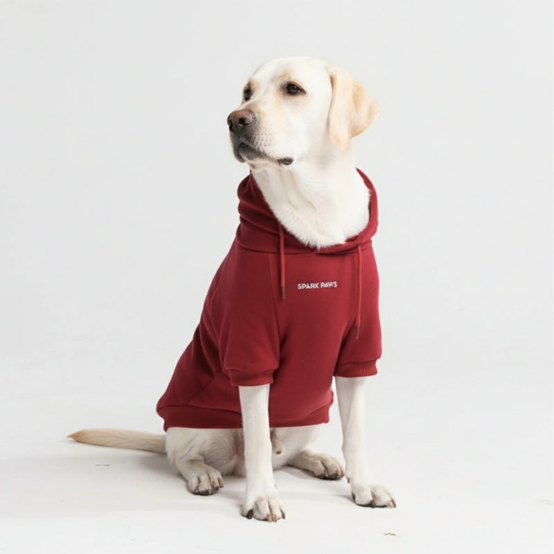 Essential Burgandy Hoodie