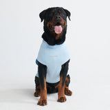 T-shirt per cani Sunblock - Blu