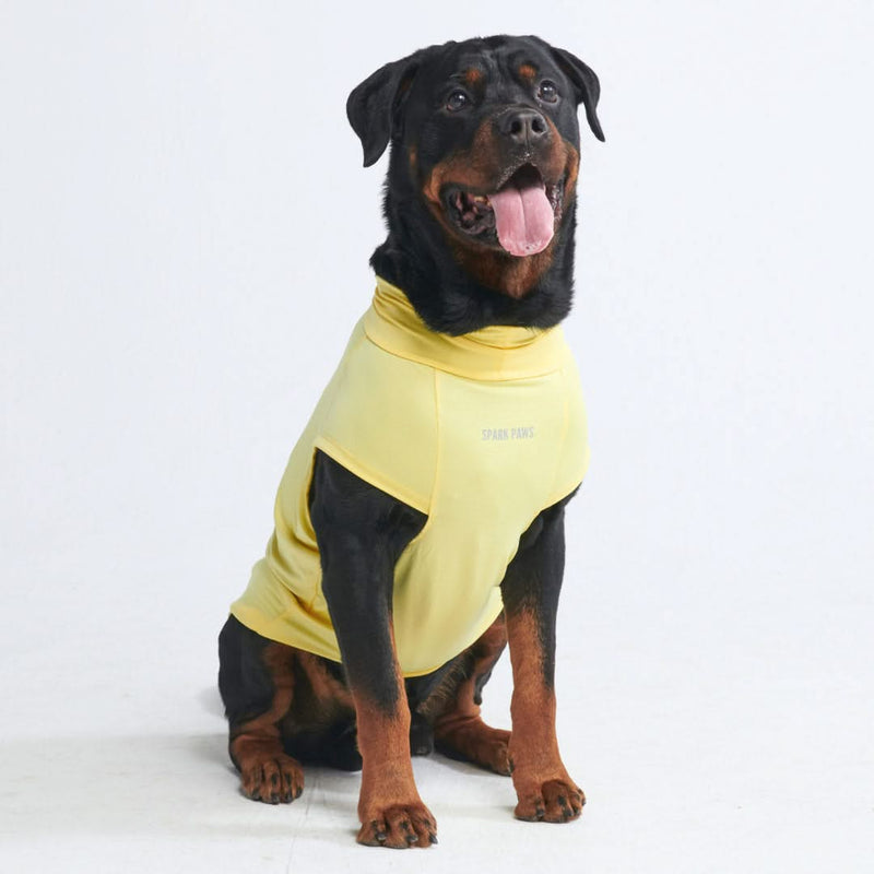 T-shirt per cani Sunblock - Gialla