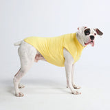 T-shirt per cani Sunblock - Gialla