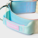 Pastel Icing Collar