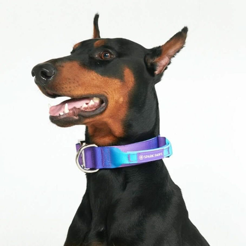 90s Retro Collar