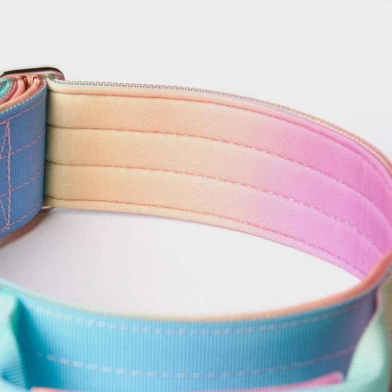 Pastel Icing Collar