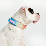 Pastel Icing Collar