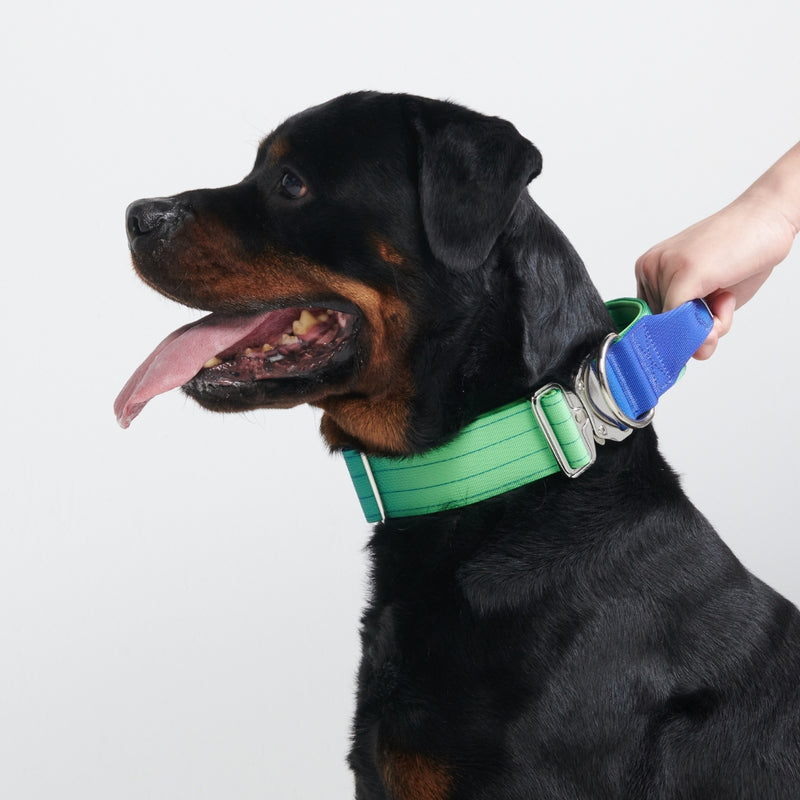 Taktisches Halsband für große Hunde - Limewelle