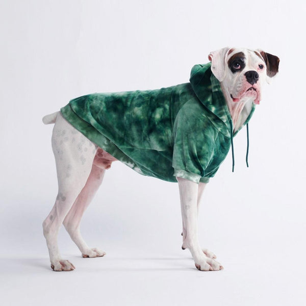 Felpa con cappuccio per cani in velluto - Verde smeraldo