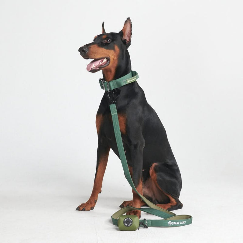 戦術的な犬用首輪セット - アーミーグリーン (1.5"/4cm)