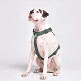 Pettorina per cani Comfort Control No-Pull - Verde