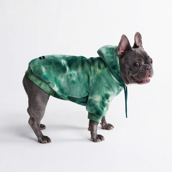 Maglione in Velluto per Cani - Verde Smeraldo