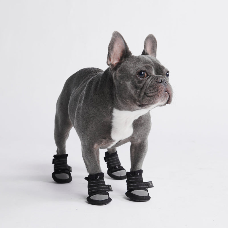 All Weather Dog Shoes