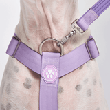 Juego de arneses para perros Comfort Control No-Pull - Lila