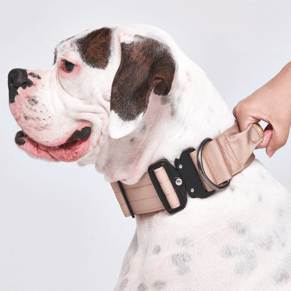 Collar táctico para perros - Marrón (2"/5cm)