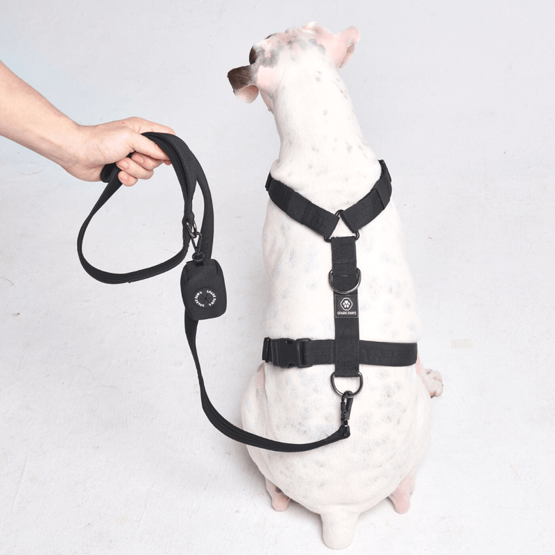 Set di imbracatura per cani Comfort Control No-Pull - Nero