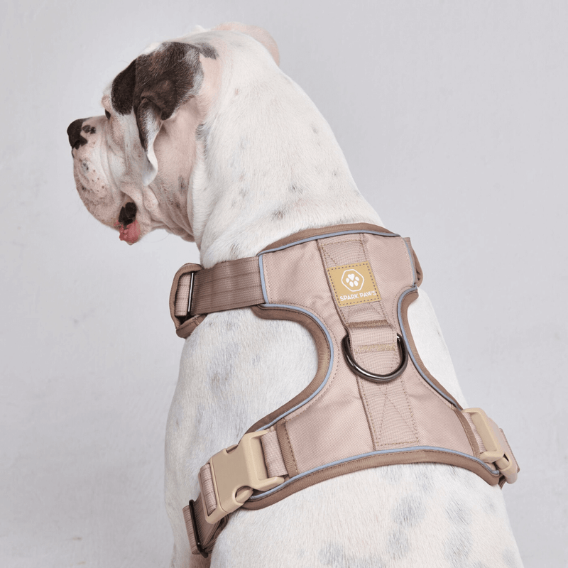 Arnés Comfort Control - Tan- [TALLA S] perros de hasta 20 kg/45 lb
