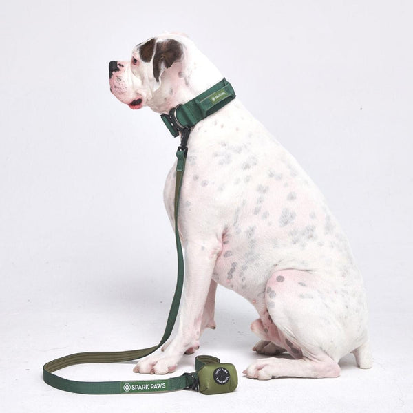 戦術的な犬用首輪セット - アーミーグリーン