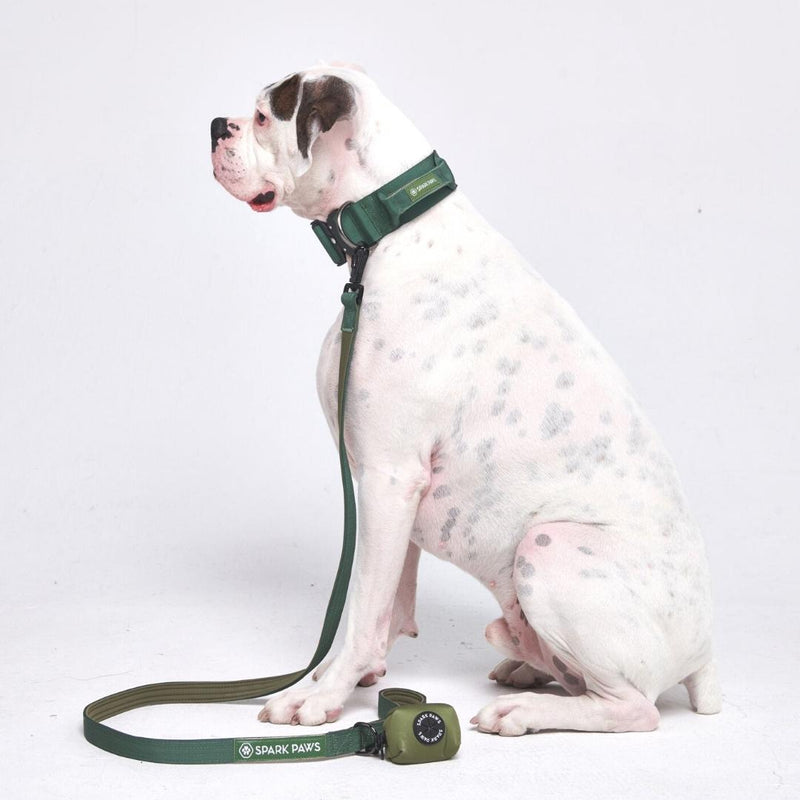Juego de collar táctico para perros - Verde militar