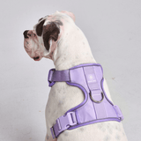コンフォート コントロール ハーネス - ライラック - [サイズ S] 20kg/45ポンドまでの犬用