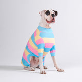 犬のパジャマ - イエロー ブルー ピンク