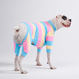 Pyjama pour chien - Jaune Bleu Rose