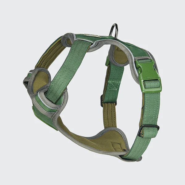 Comfort Control Harness - Green - [SIZE S] dogs up to 20kg/45lb