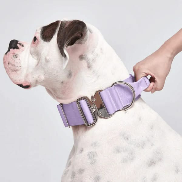 Lilac Collar