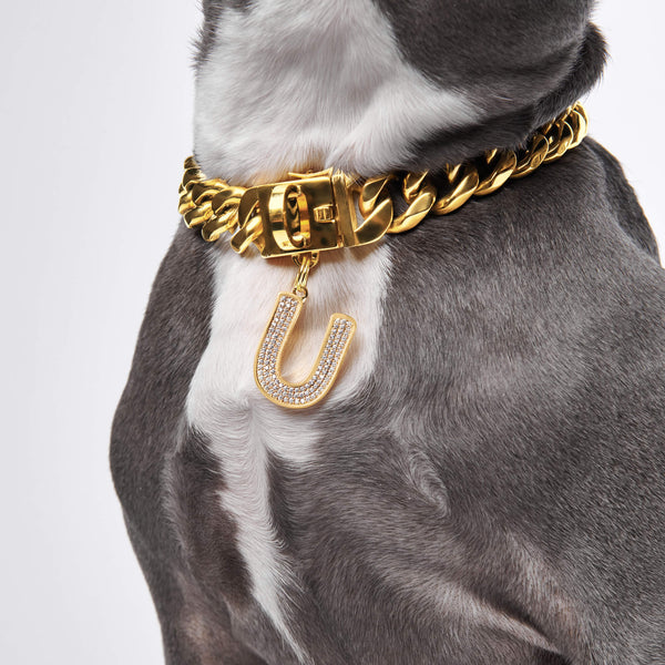 Lettre initiale bijoux plaques d'identification pour chiens - U