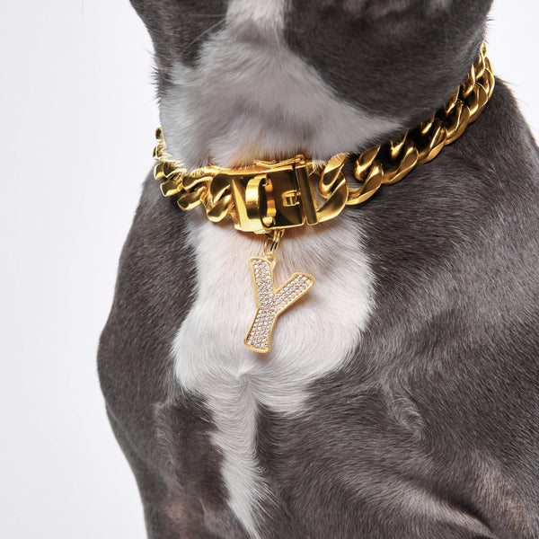 Lettre initiale bijoux plaques d'identification pour chiens - Y