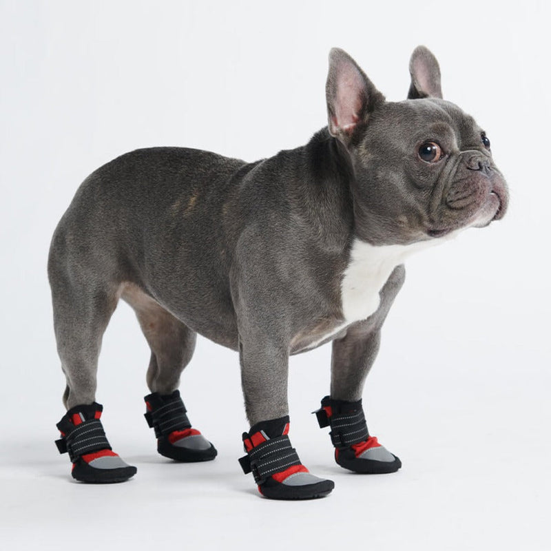 All-Weather Dog Shoe - Red
