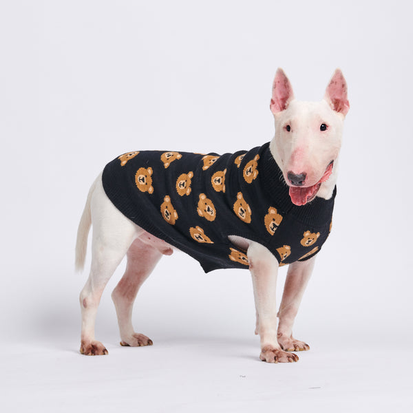 編み犬用セーター - 壊れたテディベア