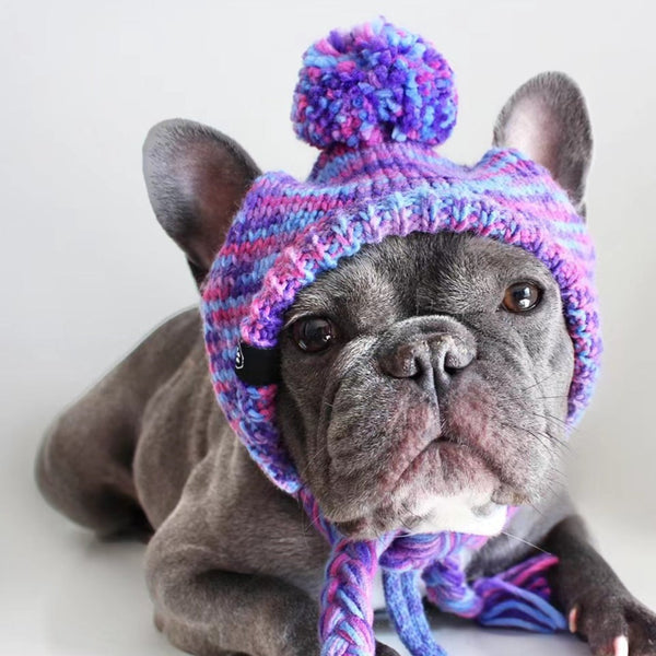 Chapeau d'hiver en tricot pour chiens