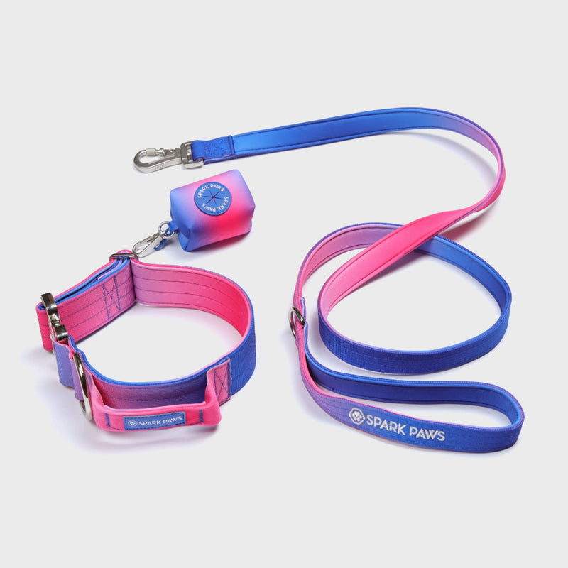 戦術的な犬用首輪セット - スノーコーン (1.5"/4cm)