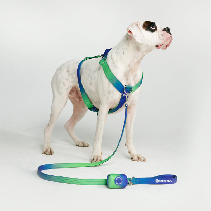 Comfort Control No-Pull Dog Harness - Lime Wave